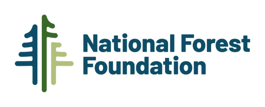 NFF Logo