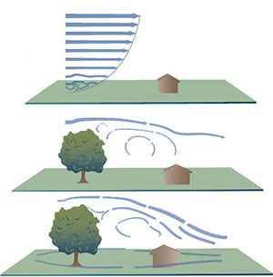 Architecture Dynamics
